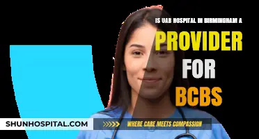 Is UAB Hospital in Birmingham a BCBS Provider?