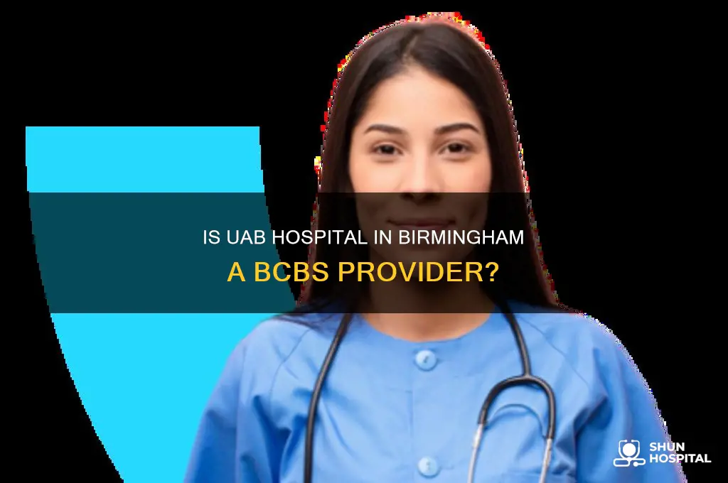 is uab hospital in birmingham a provider for bcbs