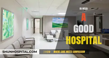 Is UCLA a Good Hospital? Evaluating Quality, Care, and Reputation