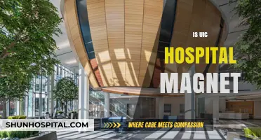 Is UIC Hospital Magnet? Exploring Its Prestigious Recognition and Impact