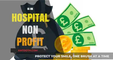 Are UK Hospitals Non-Profit? Exploring the NHS Funding Model