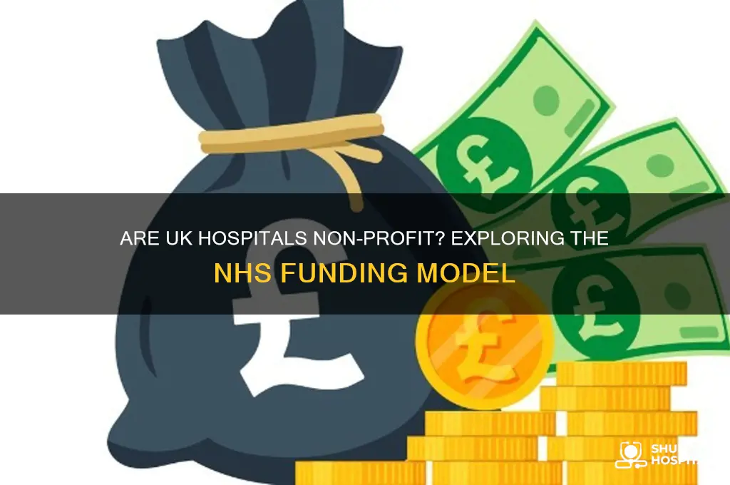is uk hospital non profit