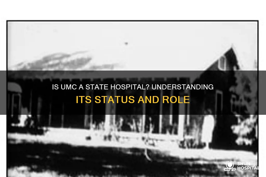 is umc a state hospital