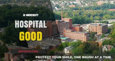 Is University Hospital Good? Evaluating Quality, Care, and Patient Outcomes