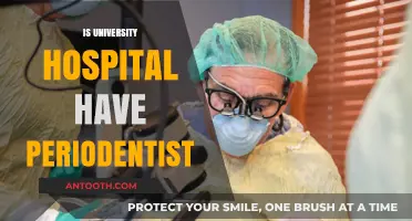 Do University Hospitals Offer Periodontal Care? Exploring Dental Services