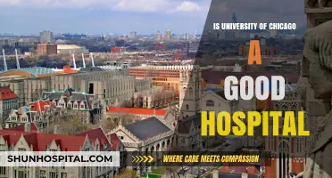 Chicago's Top Hospital: University of Chicago's Healthcare Excellence
