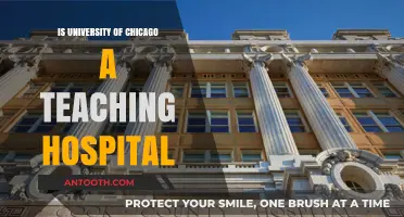 Chicago's University Hospital: A Teaching Facility?