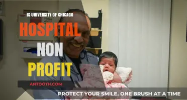 Chicago Hospital: Non-Profit or For-Profit?