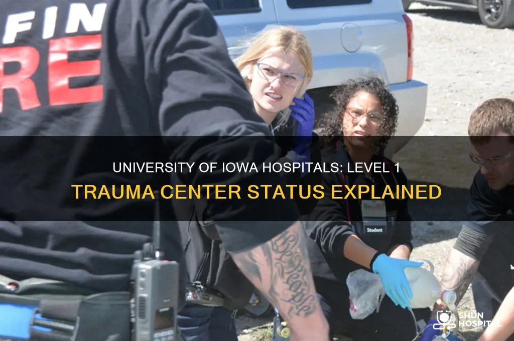 is university of iowa hospitals a level 1 trauma center