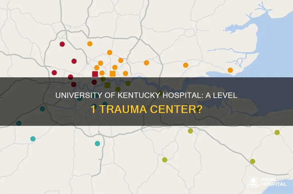 is university of kentucky hospital a level 1 trauma center