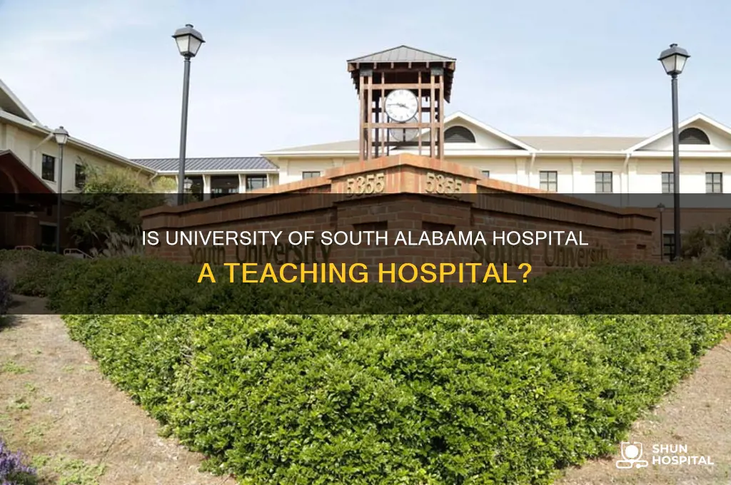 is university of south alabama hospital a teaching hospital