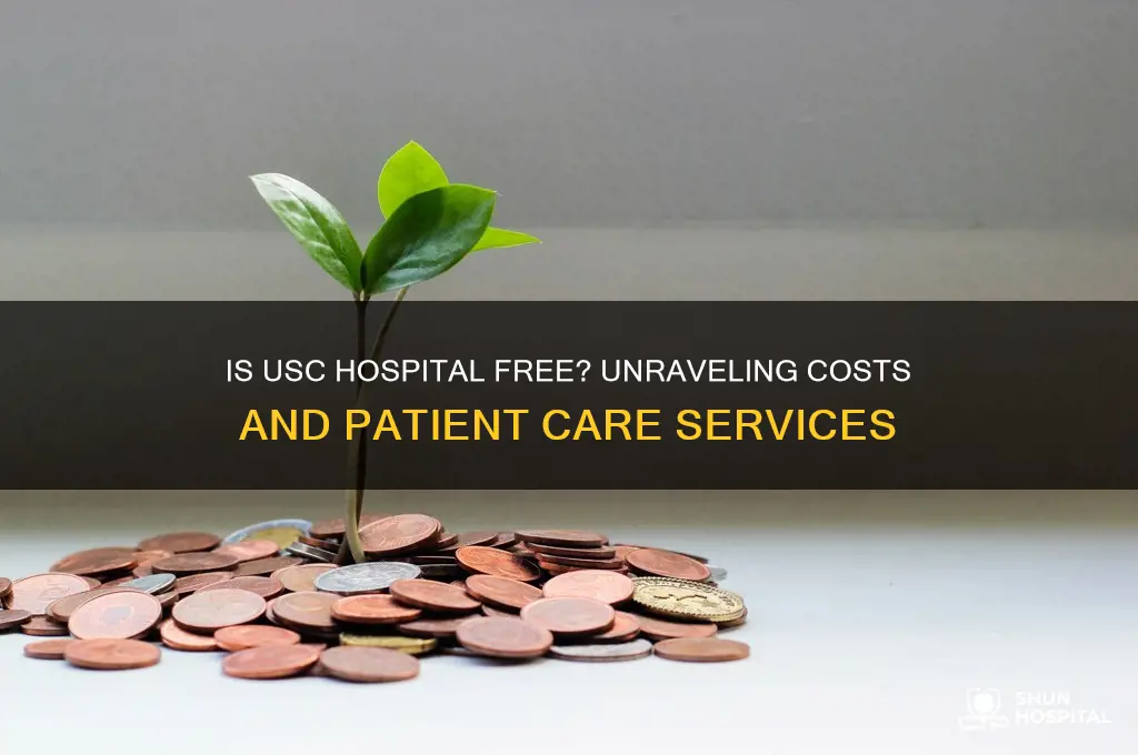 is usc hospital free