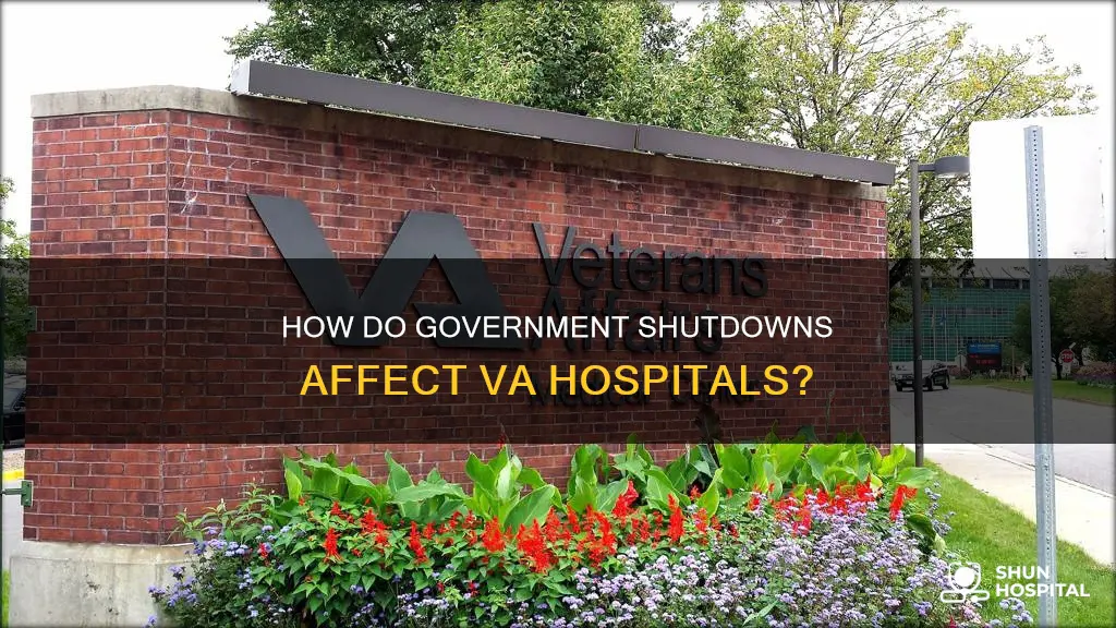 is va hospital affected by government shutdown