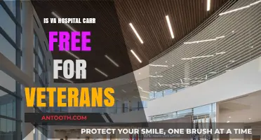 Veterans' Healthcare: VA Hospital Care Free?