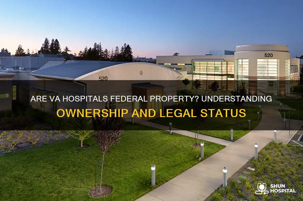 is va hospital federal property