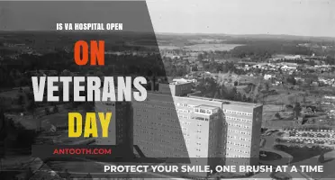 Veterans Day: Are VA Hospitals Open?