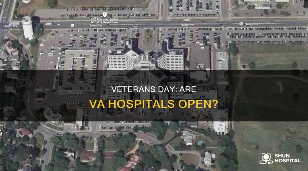 is va hospital open on veterans day