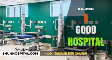 Is Valleywise a Good Hospital? A Comprehensive Review and Analysis