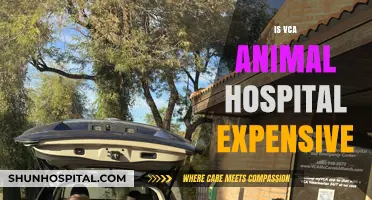 Is VCA Animal Hospital Expensive? Cost Breakdown and Alternatives
