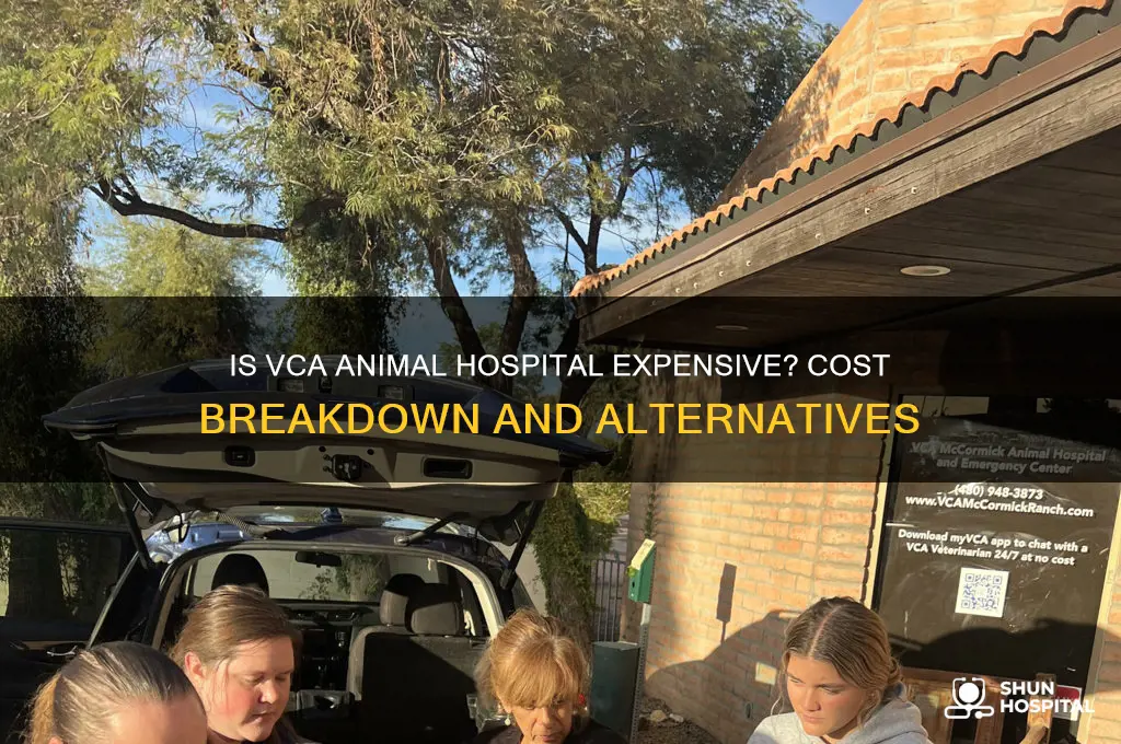 is vca animal hospital expensive