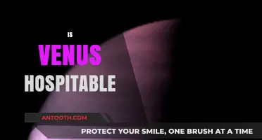 Is Venus Hospitable? Exploring the Harsh Realities of Earth's Twin