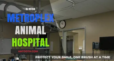Is Vetco Metroplex Animal Hospital Right for Your Pet's Needs?