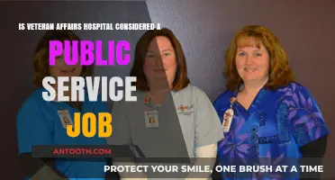 Are Veteran Affairs Hospitals Public Service Jobs? Exploring the Role