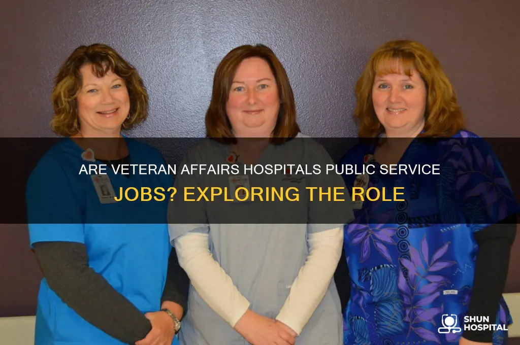 is veteran affairs hospital considered a public service job