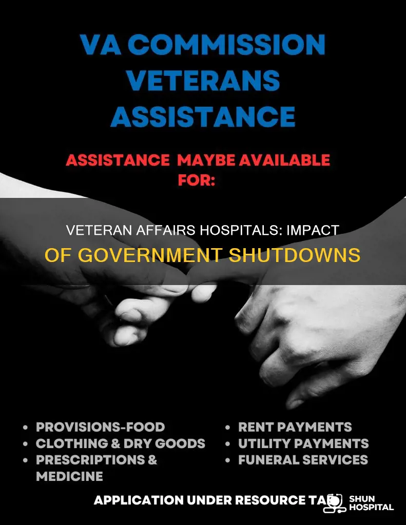 is veteran affairs hospitals affected by shutdown