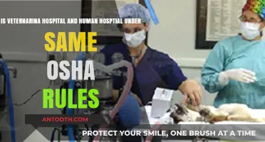 Are Veterinary and Human Hospitals Governed by the Same OSHA Rules?