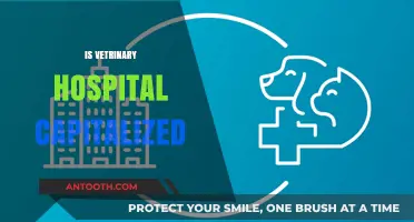 Is Veterinary Hospital Capitalized? Grammar Rules for Pet Care Facilities