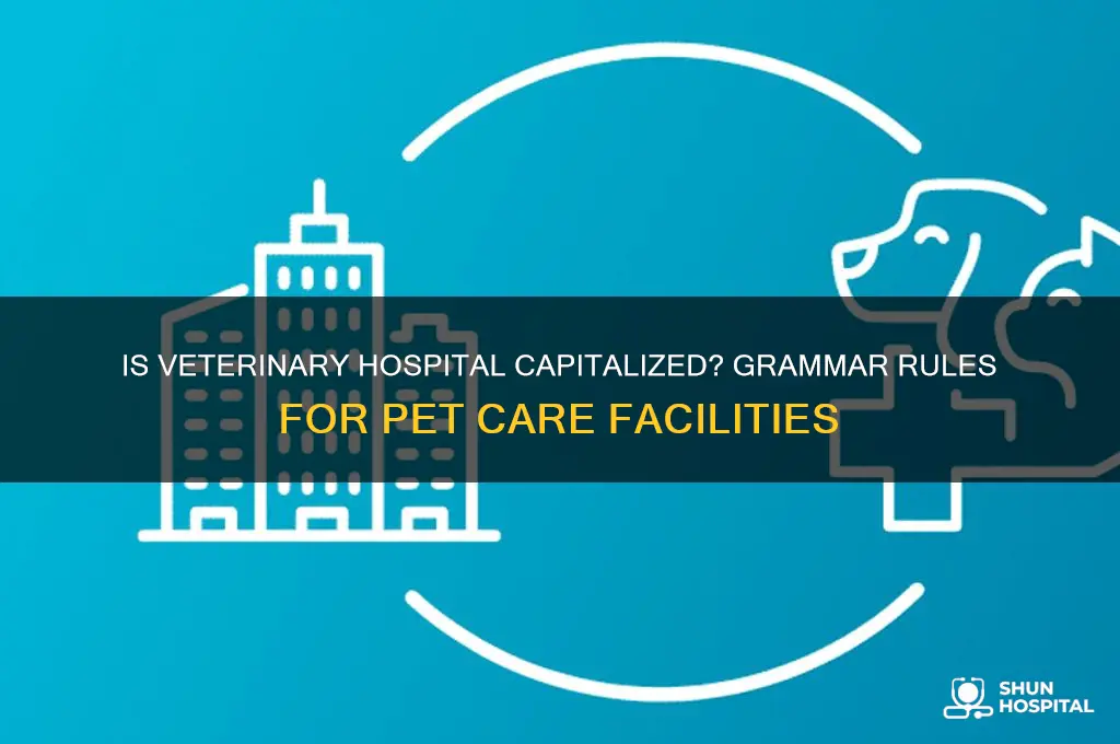 is vetrinary hospital capitalized