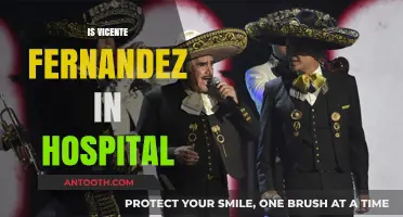 Vicente Fernandez Hospitalized: Latest Updates on His Health Condition