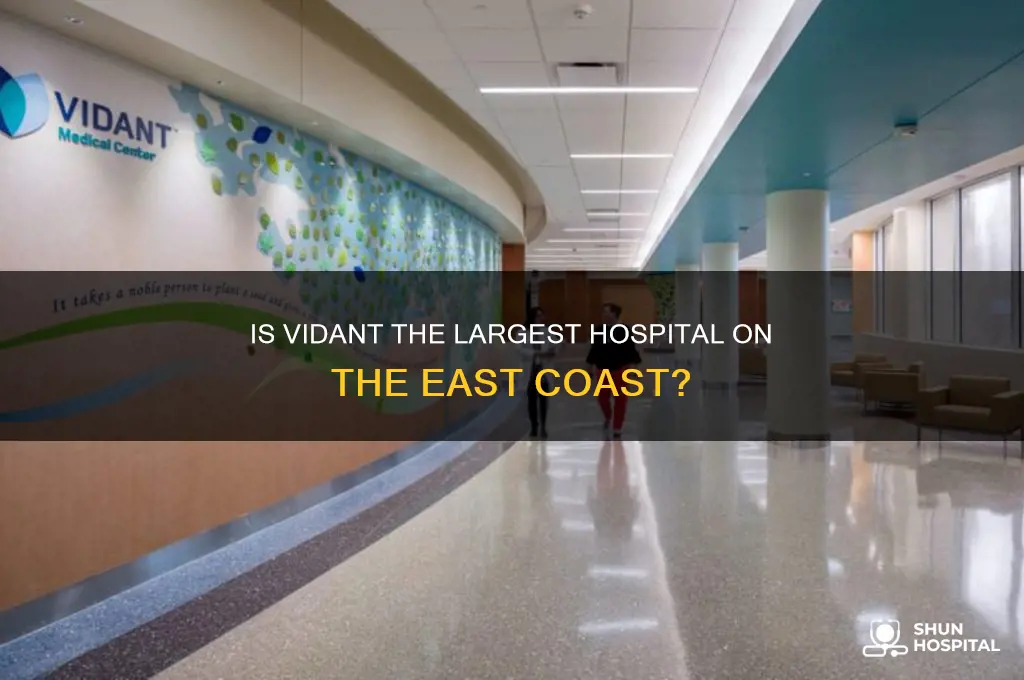 is vidant the largest hospital on the east coast