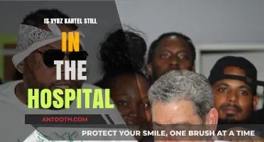 Vybz Kartel's Health: Hospitalization and Recovery