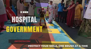 Is Wadia Hospital Government-Run? Unraveling Ownership and Affiliation Details