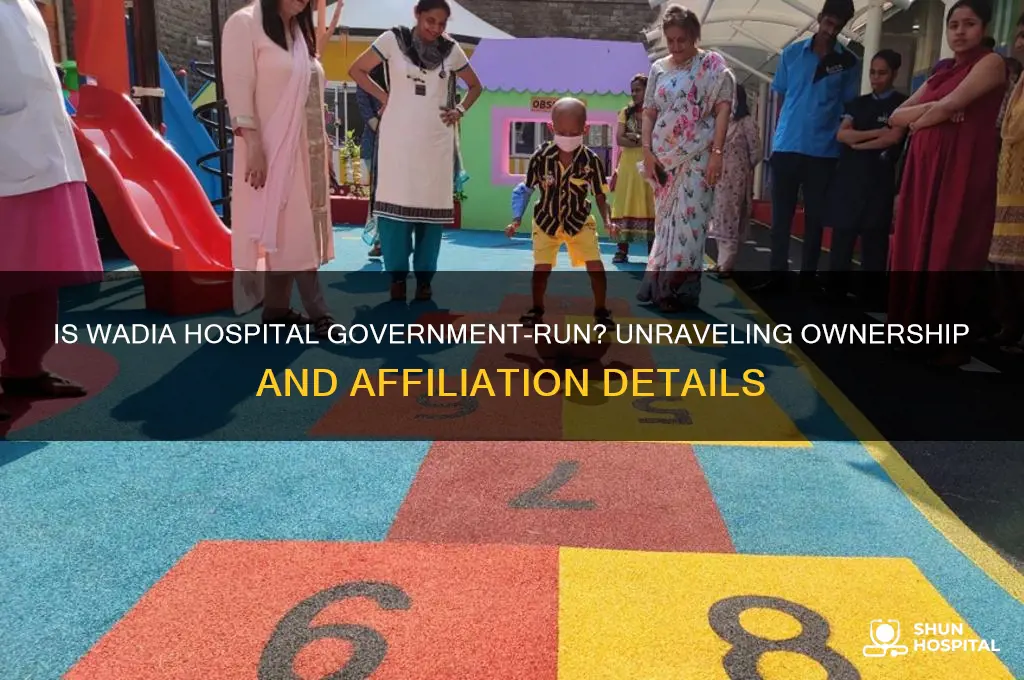 is wadia hospital government