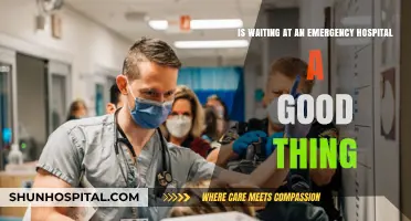 Is Emergency Room Wait Time Beneficial or Harmful? A Critical Analysis