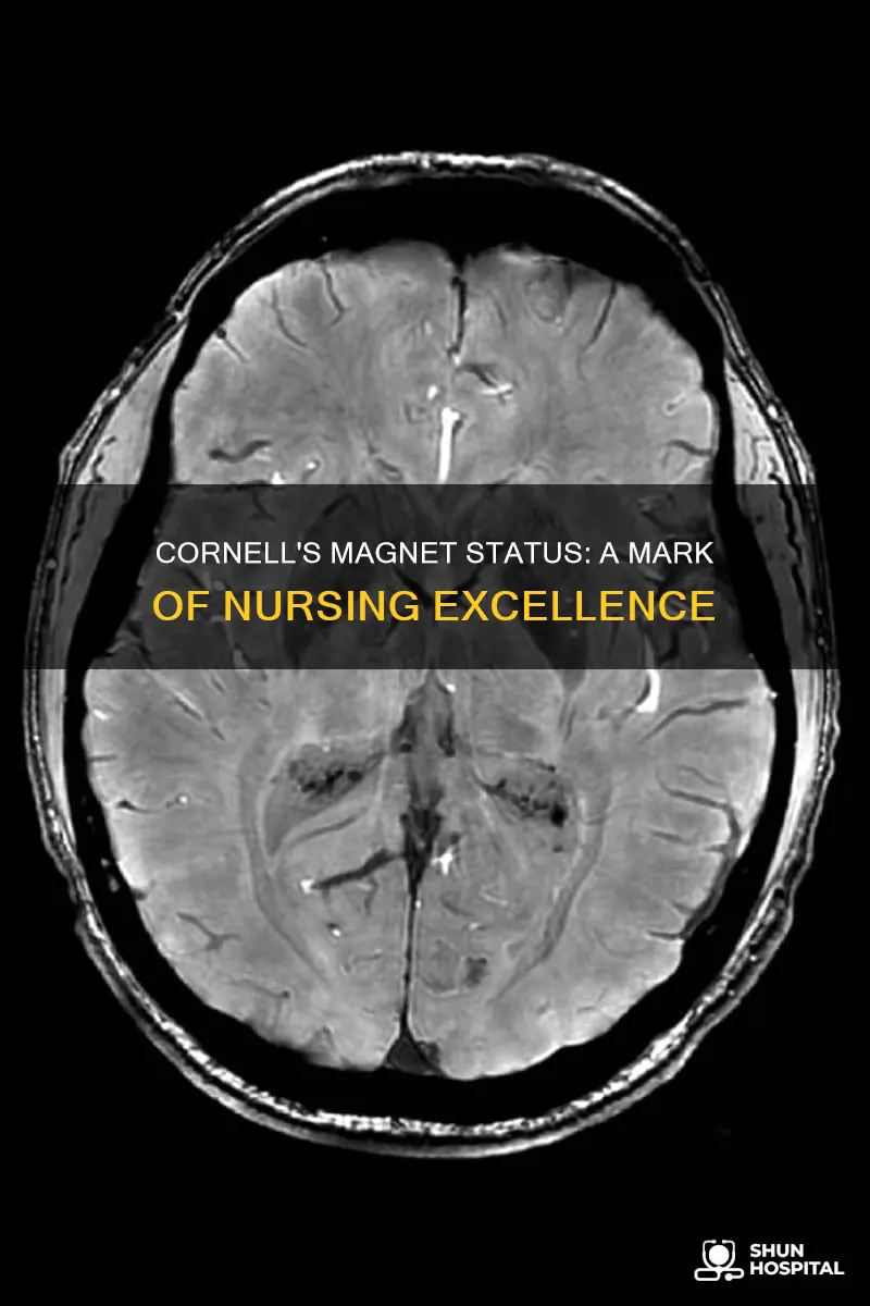is weill cornell a magnet recognized hospital