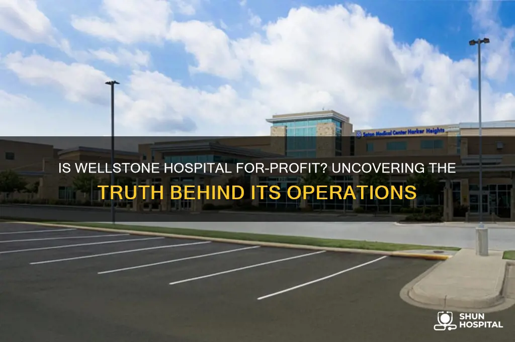is wellstone hospital for profit