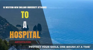 Is Western New England University Affiliated with a Hospital?