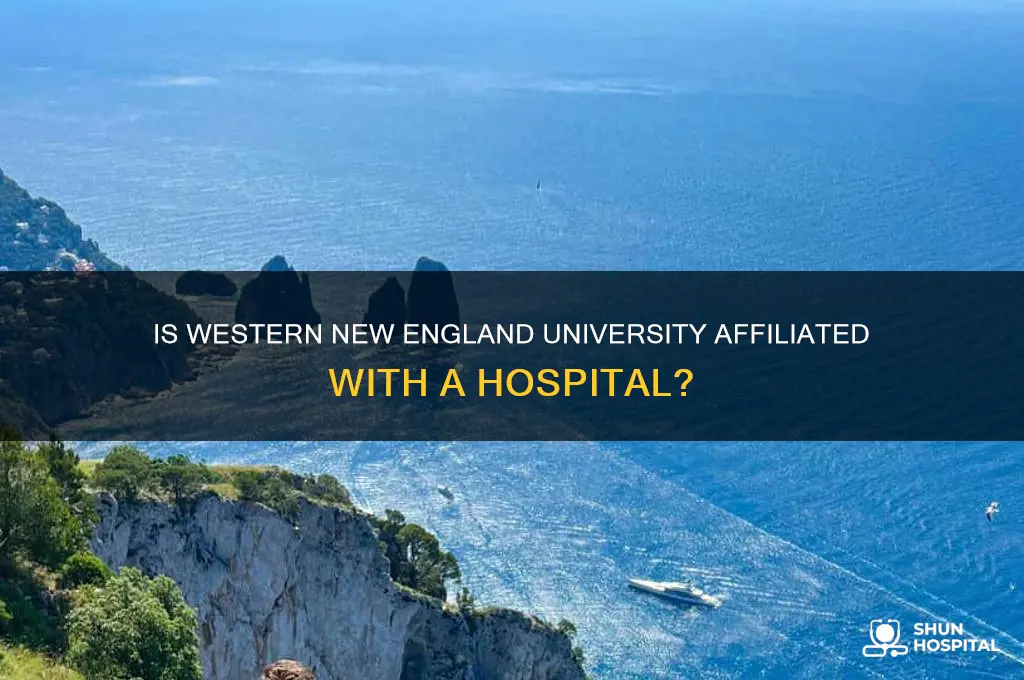 is western new england university attached to a hospital