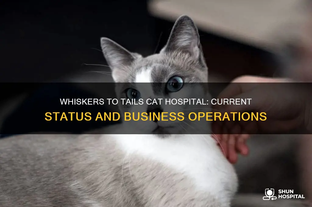 is whiskers to tails cat hospital still in business