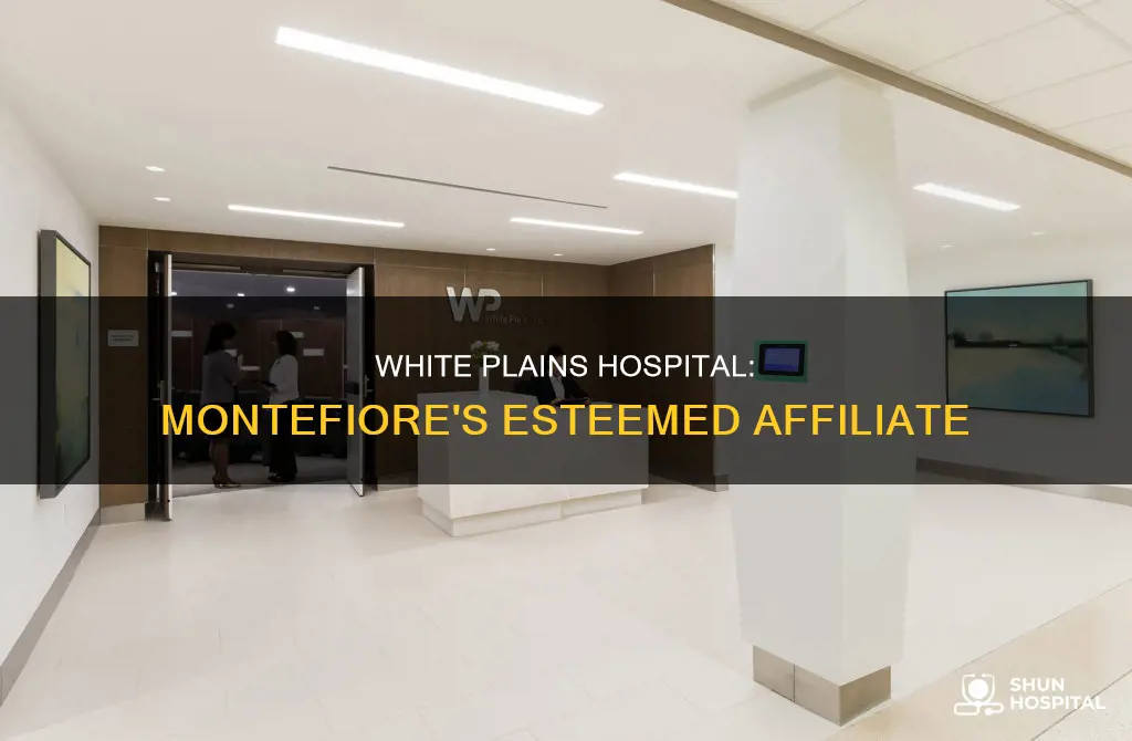is white plains hospital affiliated with montefiore