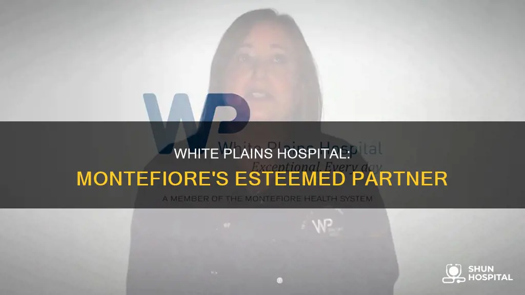is white plains hospital part of montefiore