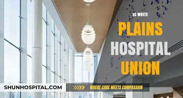 Is White Plains Hospital Unionized? Exploring Labor Relations and Employee Rights