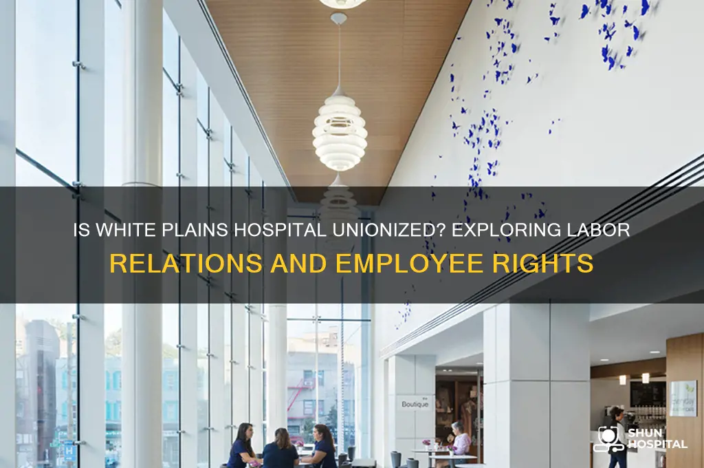 is white plains hospital union