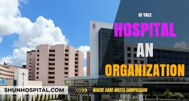 Is Yale Hospital an Organization? Understanding Its Structure and Role