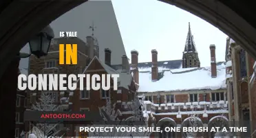 Is Yale in Connecticut? Exploring the University's Location and History
