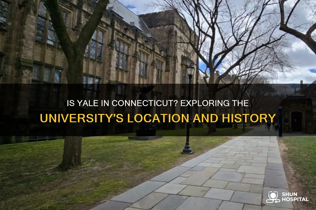 is yale in connecticut